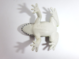 Ishikawa's Frog  Fuji  version 2