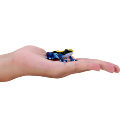Poison Dart Frog blue    Mojo 381069    june 2025