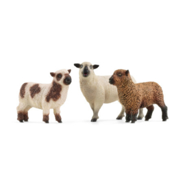 Schapenset Schleich 42660