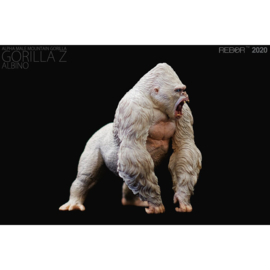 Mountain gorilla  (Albino)  Rebor 98002