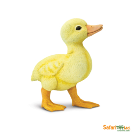 Duckling  S265829