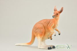 Kangaroo CollectA 88921 *New 2021*
