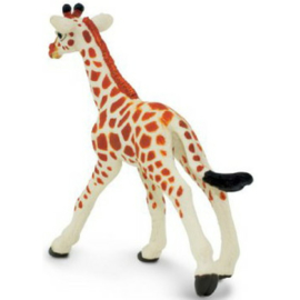 Giraffe kalf  S268529