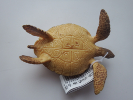 Zeeschildpad