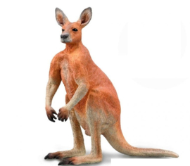 Kangaroo male (2021)  CollectA 88942