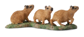 Capibara jongen   CollectA 88541