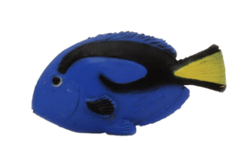 blue tang  mini