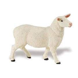 Sheep S246129