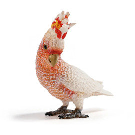 Major Mitchell's Cockatoo