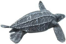 Leatherback Sea Turtle