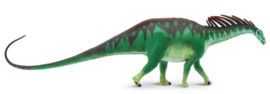 Amargasaurus Safari 304629