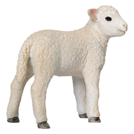 Romney sheep lamb  Mojo 387060