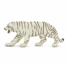 Bengal Tiger White S294929