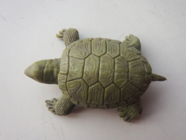 Turtle mini