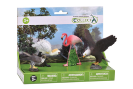 Wild bird set Collecta 89810