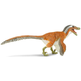Velicoraptor with feathers S100032