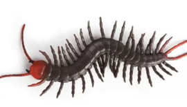 Duizendpoot xl flexibel