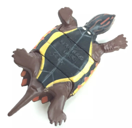 048  Ryukyu Black-breasted Leaf Turtle