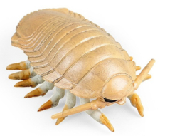 Deepsea woodlice