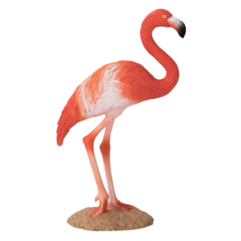 Rode flamingo  Mojo 387134