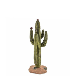 Cactus  lichtgroen