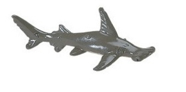 Hammerhead  small