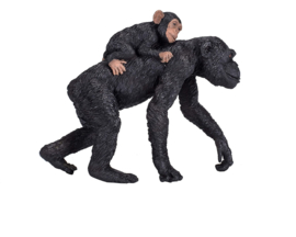 Chimpansee met jong  Mojo 387264