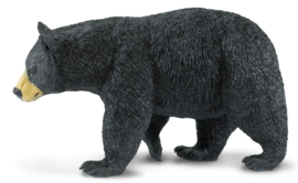 Black Bear   XXL  S111489