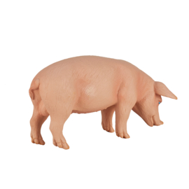 Pig  Mojo 387080