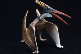 Pteranodon  merkloos