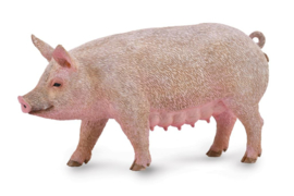 Pig  female   CollectA 88863