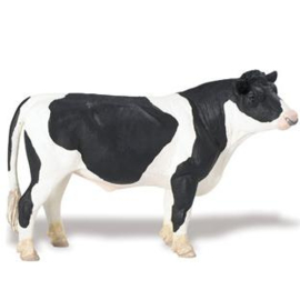 Holsteiner bull S245929