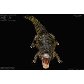 Deinosuchus hatcheri  Meta Swamp REBOR 161014