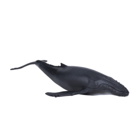 Humpback whale   Mojo 387119