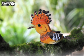 Hoopoe   EUGY 3D Puzzle