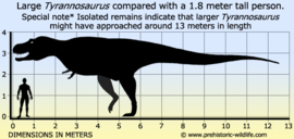 Tyrannosaurus Rex 1:15  CollectA 89309 supergroot 93 cm