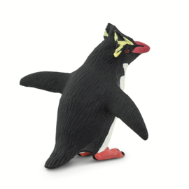 Rockhopper penguin  S100149
