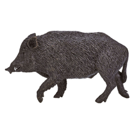 Wild boar  Mojo 387160