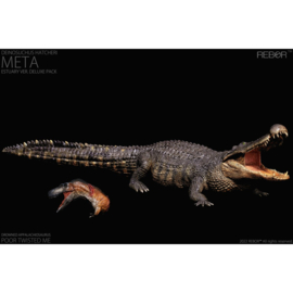 Deinosuchus hatcheri  Meta Estuary REBOR 161007