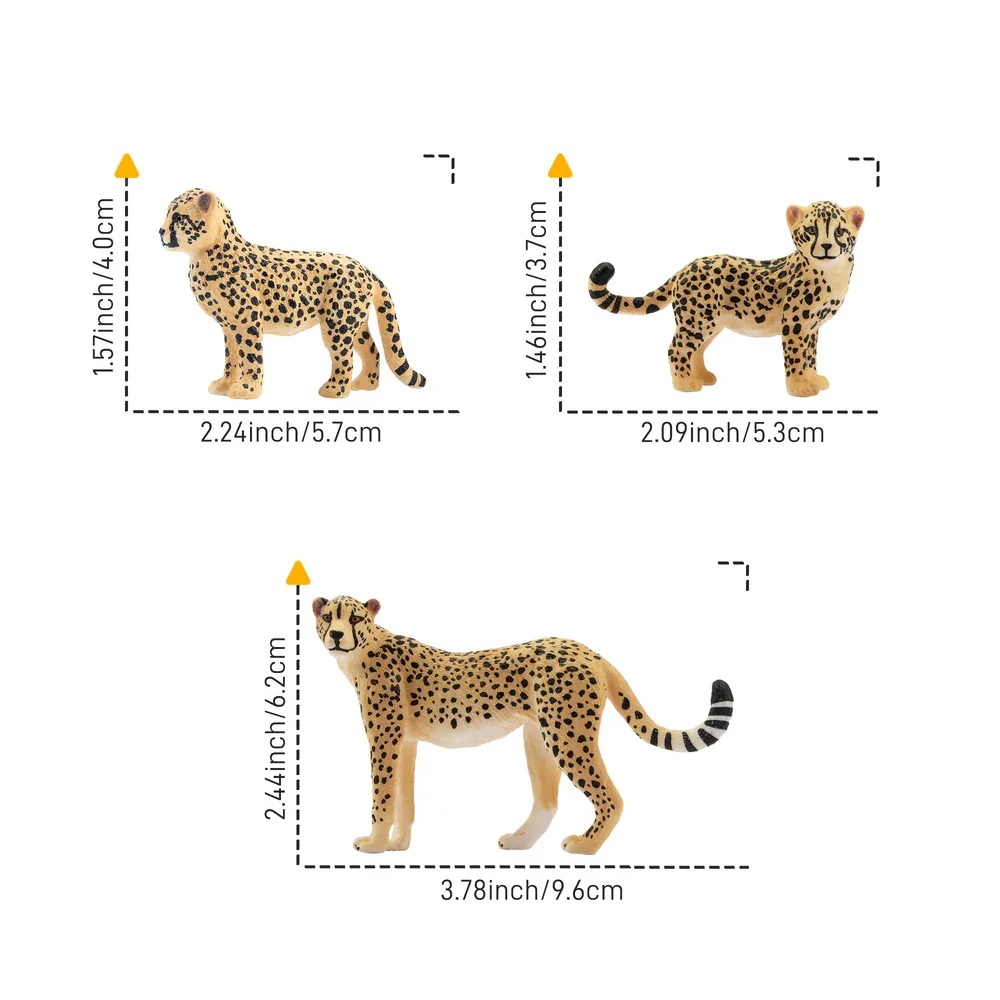 Cheetah family  (8 ex.)