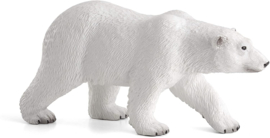 Polar bear  Mojo 387183