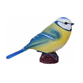 Blue tit  Mojo   available