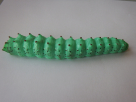 Rups turquoise  xl
