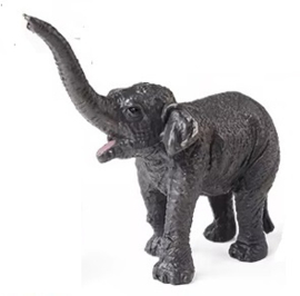 Elephant young