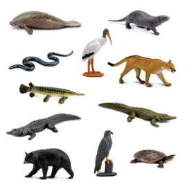 Everglades toob S103648 -