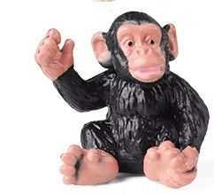 Chimp baby
