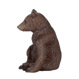 Grizzly bear cub   Mojo 387217