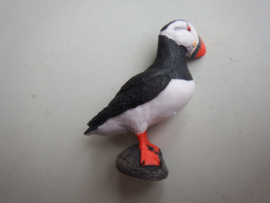 Puffin
