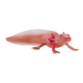 Axolotl   Mojö 381108 -