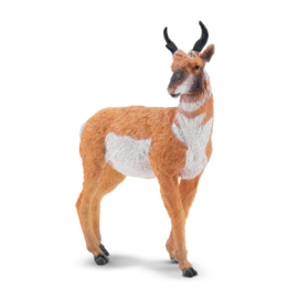 Pronghorn Toymany